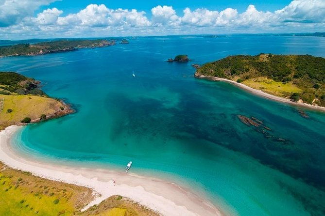 Group tour to Bay of Islands return from Auckland - What Reviewers Say