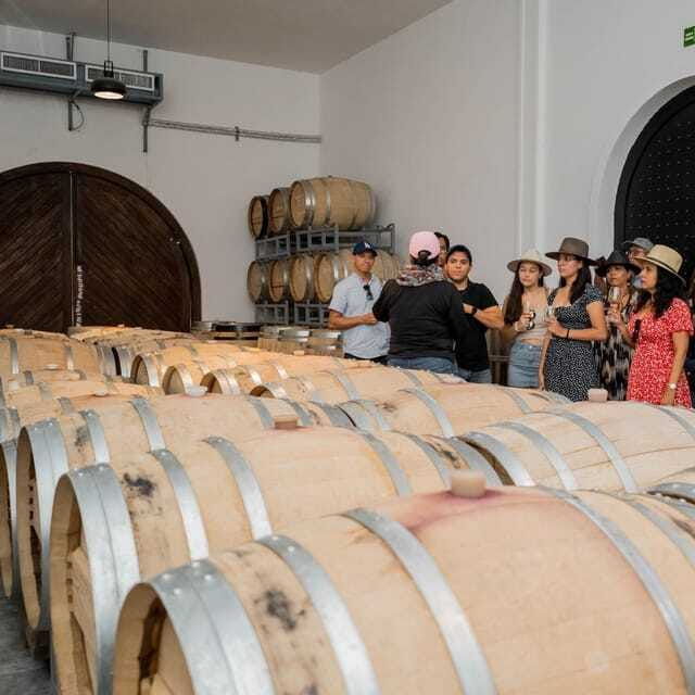 guided-tour-and-tasting-of-4-wines-at-vinedo-dos-buhos