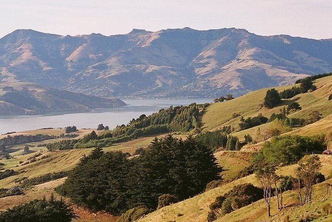 Guided Walk & Scenic Drive from Christchurch- Port Hills & Packhorse Hut - Who Will Love This Tour?
