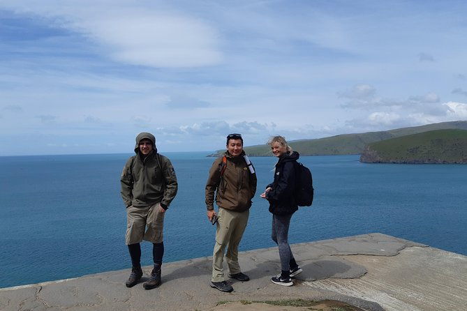 Guided Walking Tour & Scenic Drive - Lyttelton & Godley Head - Final Thoughts: Who Will Love This Tour?