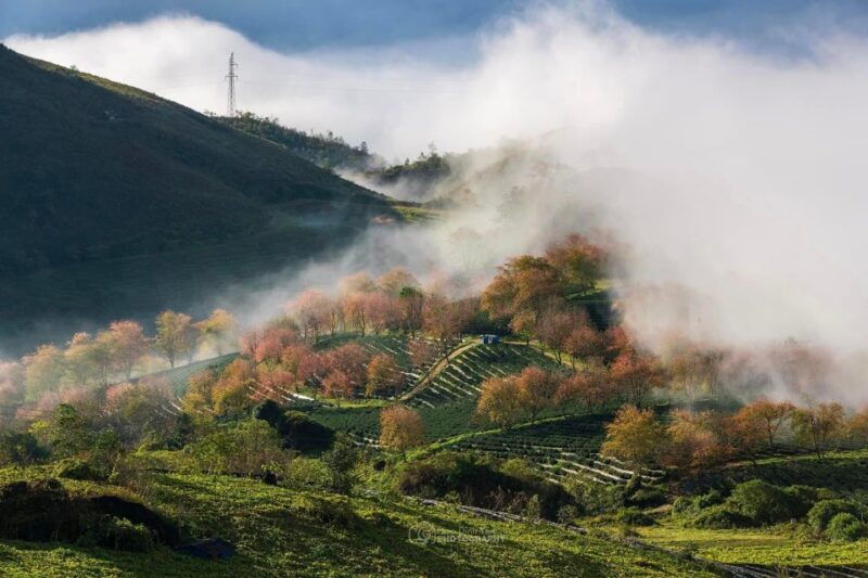 ha-giang-loop-motorbike-tour-2-days-1-night