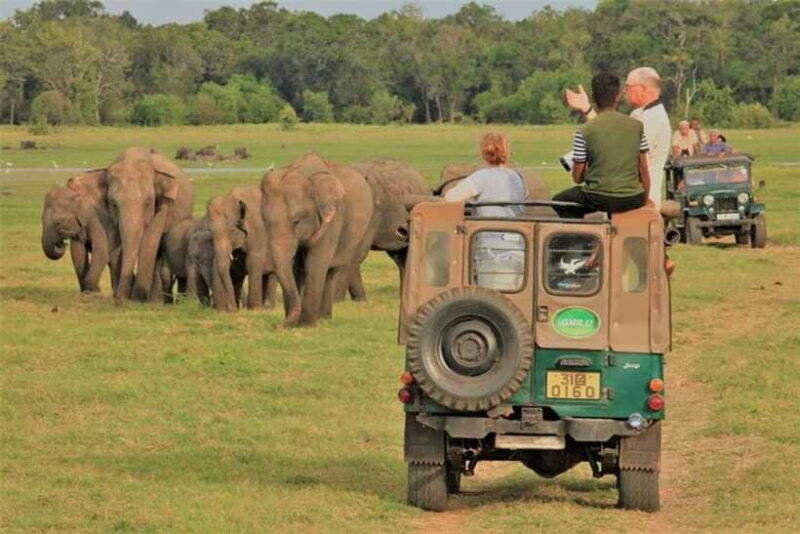 habarana-hurulu-eco-park-elephant-jeep-safari