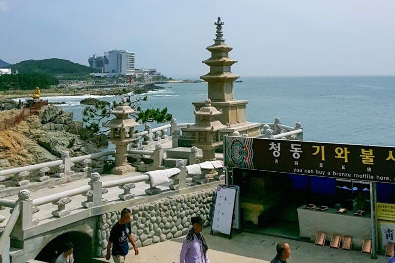 haedong-yonggungsa-temple-camellias-island-more