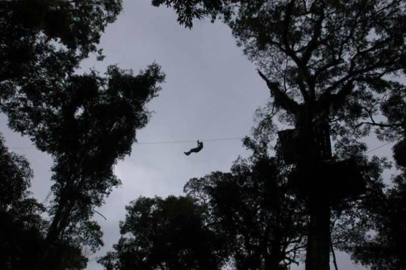 half-day-iguazu-forest-adventure