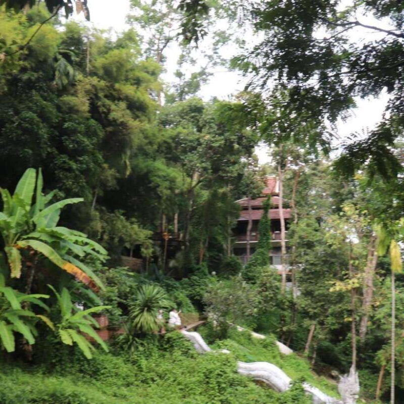 half-day-morning-wat-pha-lat-wat-phra-that-doi-suthep-tour