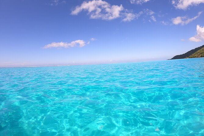 Half Day Private Boat Snorkeling Excursion Moorea - The Sum Up
