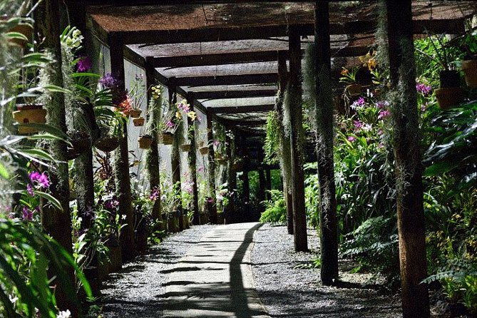 Half Day Tour from Nadi includes Local Markets, Orchid Gardens and Local Village - Shore Excursions - Who Should Consider This Tour?