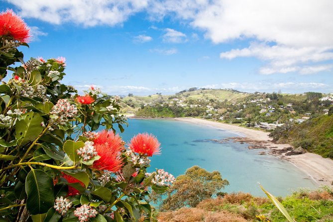 Half Day Waiheke Wine Tour - Practical Details: Timing, Price, and Value