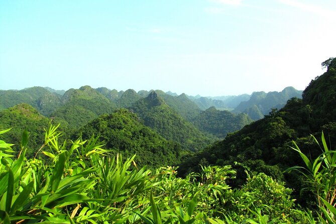 Halfday trekking Cat Ba Butterfly valley (more intense) - What to Expect from the Experience