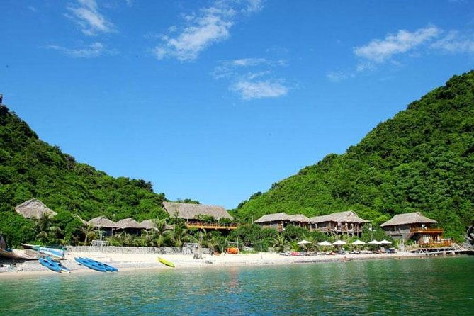 Halong Bay and Lan Ha Bay from Cat Ba Island: Cruise and Kayak Tour - The Sum Up
