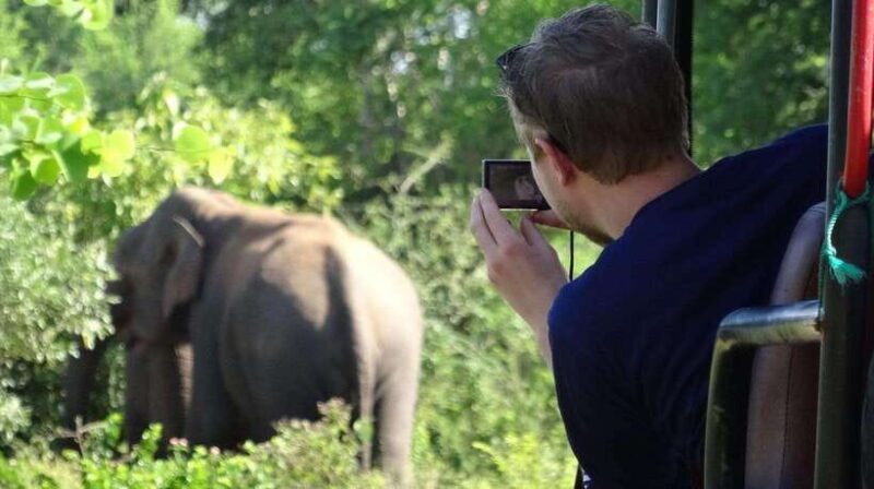 hambantota-port-full-day-yala-national-park-safari-private