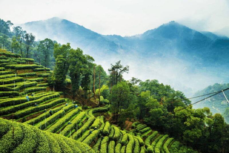hangzhou-private-day-trip-by-bullet-train-from-shanghai
