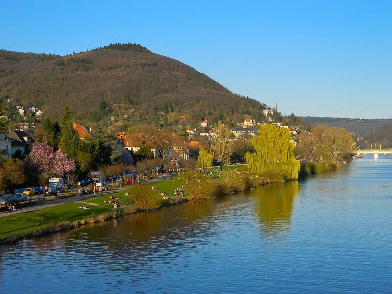 heidelberg-city-of-romance-2-hour-walking-tour