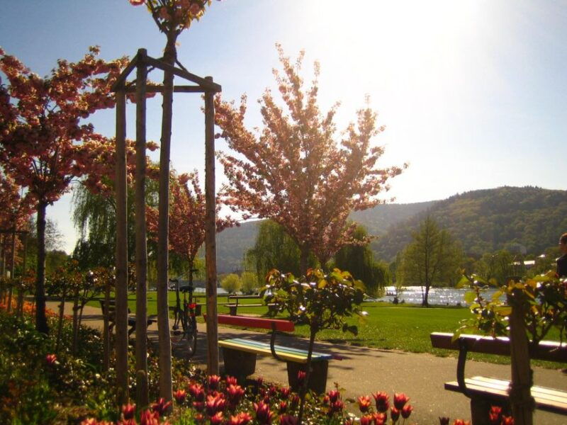 heidelberg-guided-bike-tour