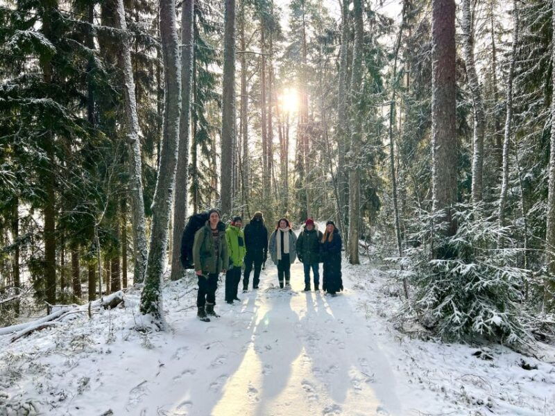 helsinki-winter-wonderland-liesjarvi-national-park-hike