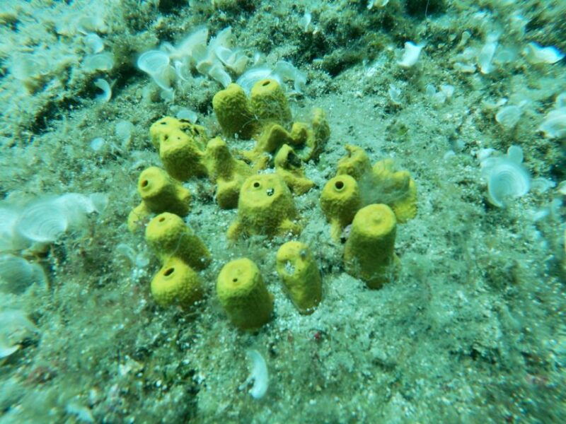 heraklion-beginner-friendly-snorkeling-trip