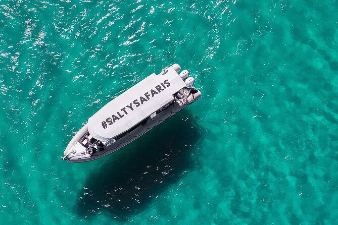 Hervey Bay: Half Day Whale watching & Island Stop Tour - Price and Overall Value