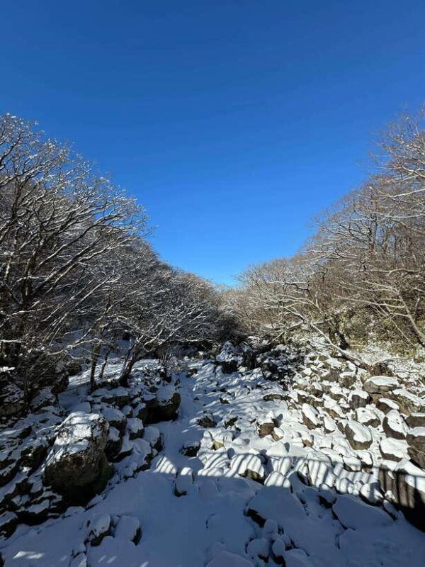 hike-hallasan-on-jeju-island-south-koreas-highest-mountain
