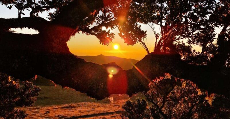 hike-in-fanal-in-a-different-way