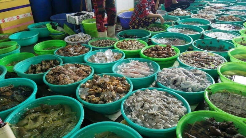 ho-chi-minh-city-can-gio-monkey-island-day-trip-with-lunch