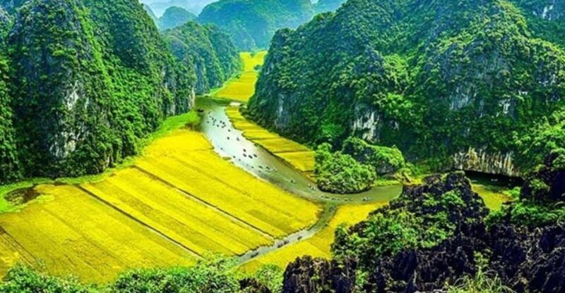 hoa-lu-tam-coc-mua-cave-1-day-tour