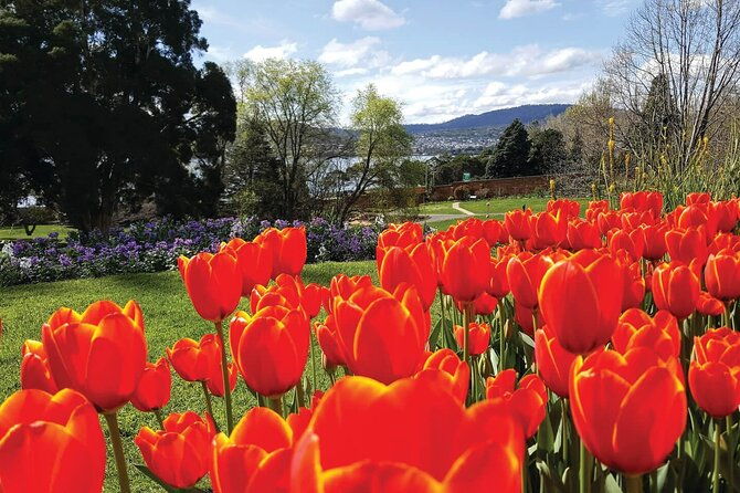Hobart Half-Day Sightseeing City Tour - FAQ