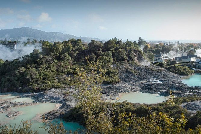 Hobbiton & Rotorua Living Mori Village Private Tour Ex-Auckland - Final Thoughts: Is This Tour for You?