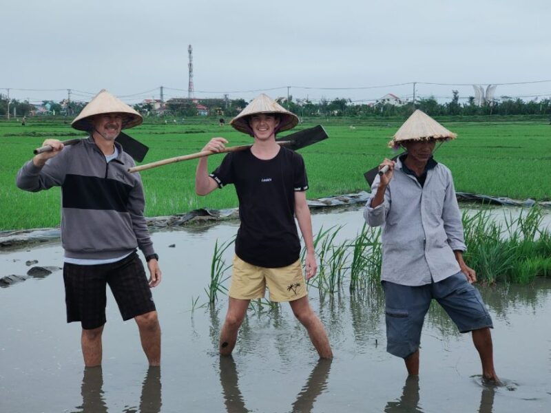 hoi-an-countryside-by-cycling-buffalo-riding-do-farming