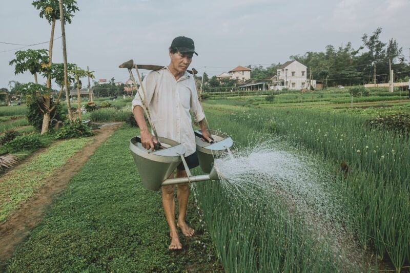hoi-an-half-day-farm-to-table-adventure-in-tra-que-village