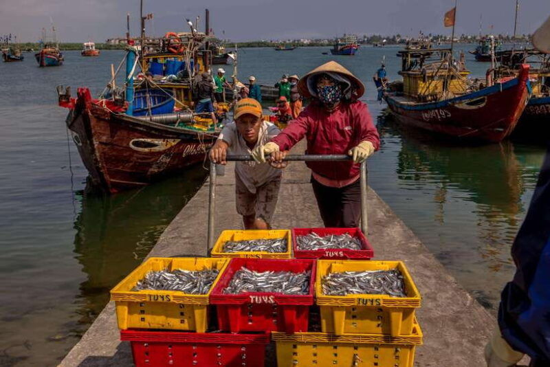 hoi-an-river-life-private-photography-tour
