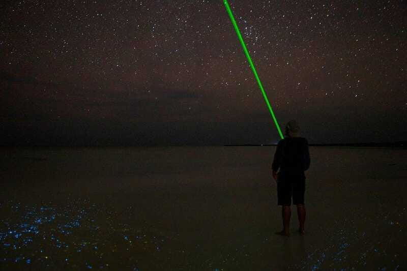 holbox-guided-bioluminescence-kayaking-tour
