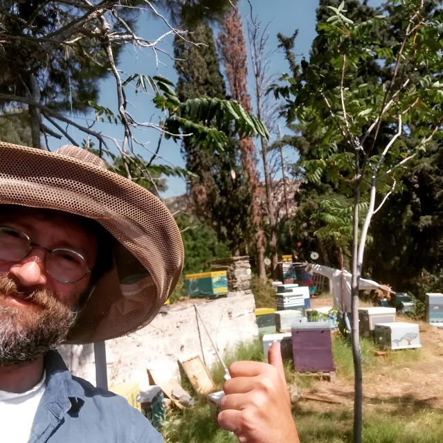 honey-tasting-on-naxos-island