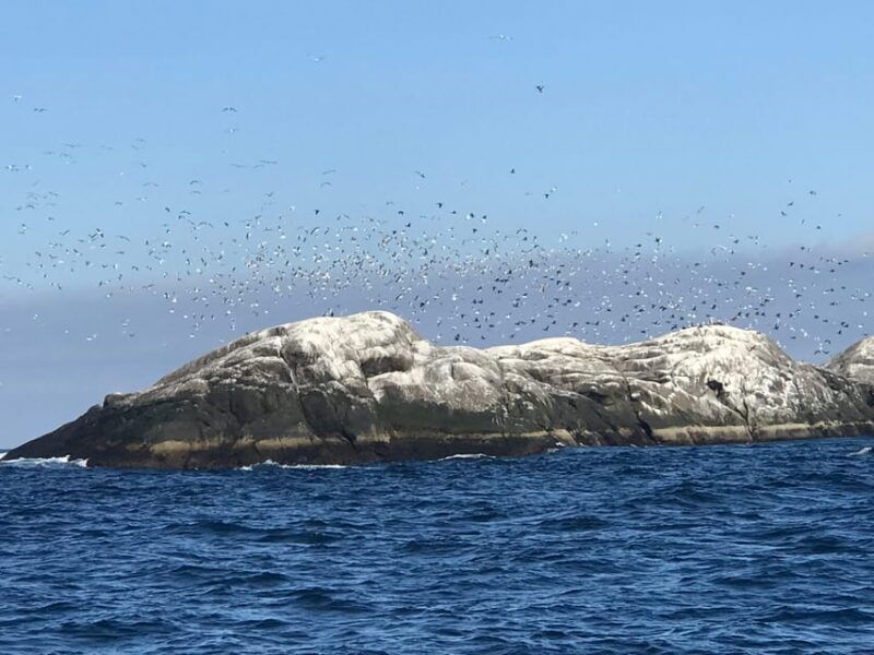 honningsvag-north-cape-king-crab-arctic-wildlife-safari