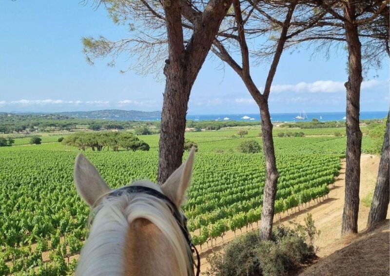 horse-back-riding-wine-tasting-in-ramatuelle