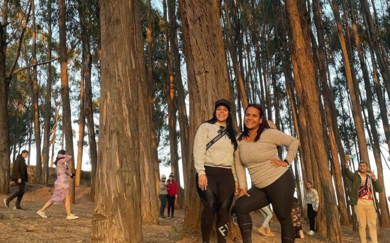 horse-ride-through-sacsayhuaman-qenqo-and-eucalyptus-forest