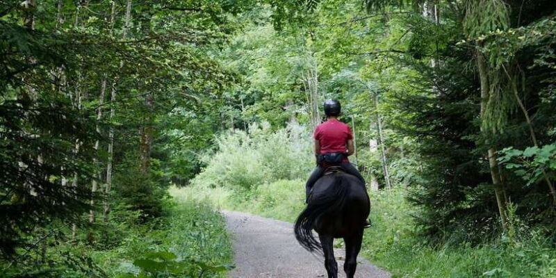 horse-riding-in-nuwara-eliya