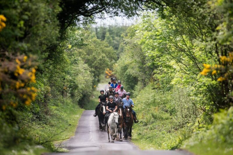 horse-riding-the-mountain-trail-clare-guided-2-hours