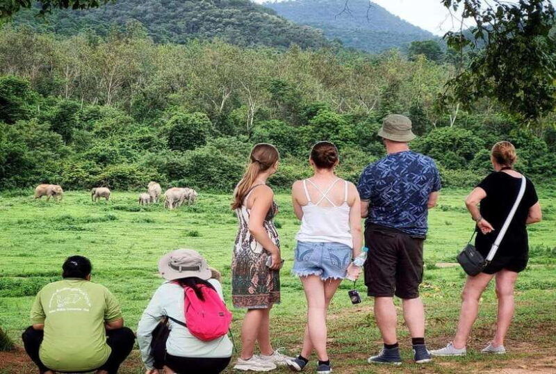 hua-hin-kui-buri-wild-elephant-watching-private-4-pax-up