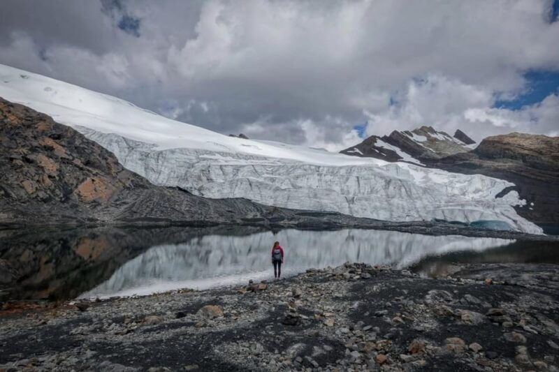 huaraz-nevado-pastoruri-puyas-raymondi-forest
