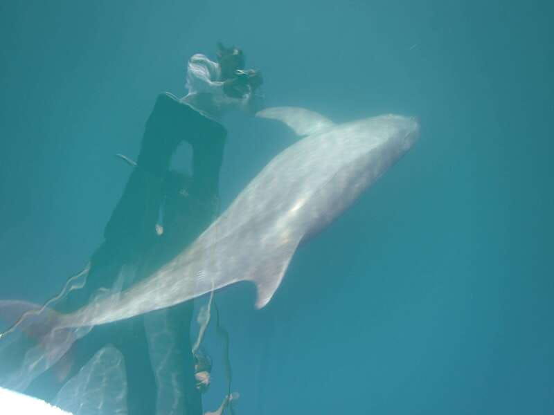 huatulco-awakening-with-stars-dolphins-boat-cruise