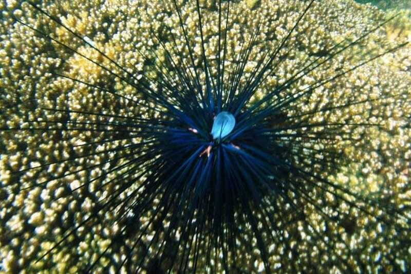 huatulco-premium-family-snorkeling-experience