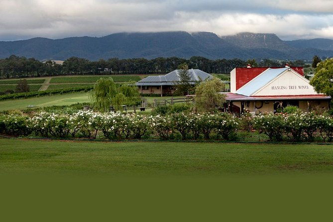 Hunter Valley Highlights Private Wine Tour from Sydney - Extra Details That Make a Difference