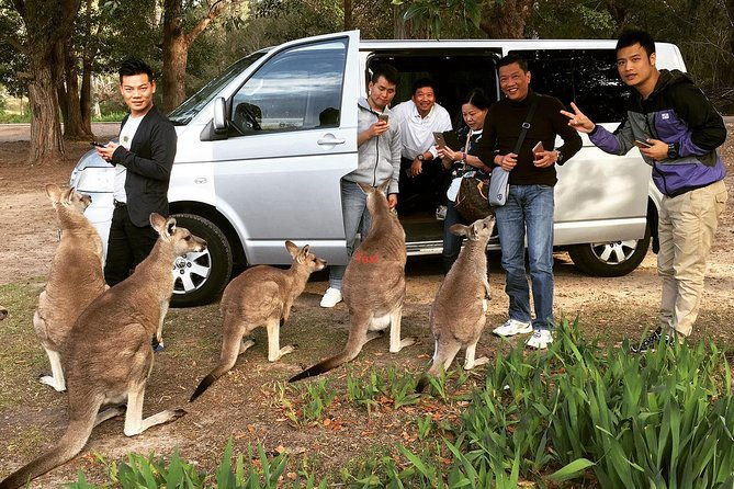 Hunter Valley Private Wine Tasting Tour from Sydney - Lunch Break: Choices to Suit All Tastes