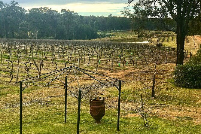 Hunter Valley Wine Tasting + Lunch Guided Day Tour - FAQ