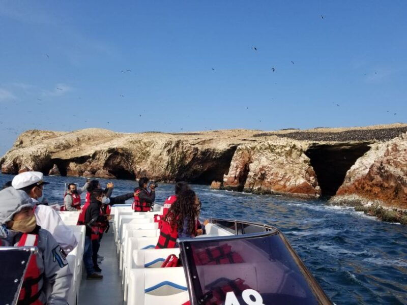 ica-ballestas-island-paracas-reserve-private-tour