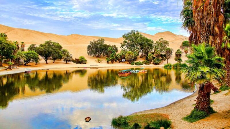 ica-pisco-and-wine-tour-with-a-trip-to-the-desert