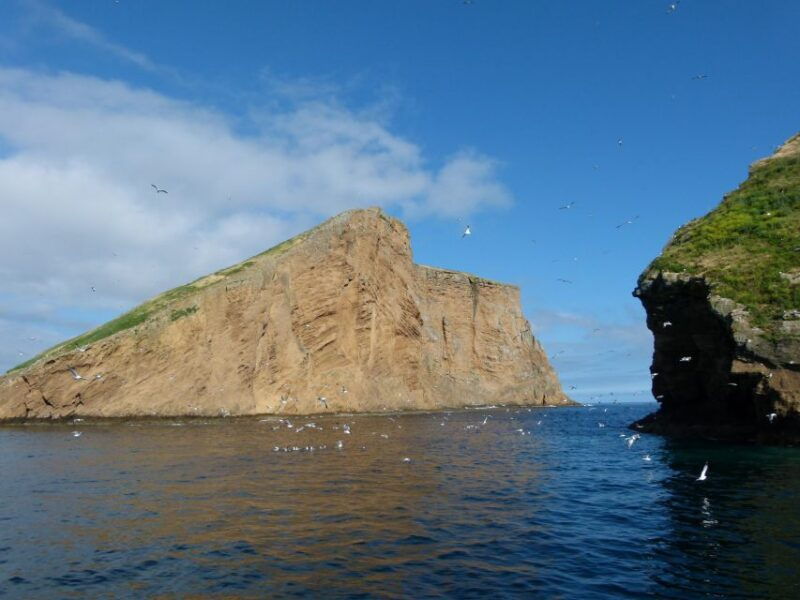 ilheus-das-cabras-in-terceira-island-2