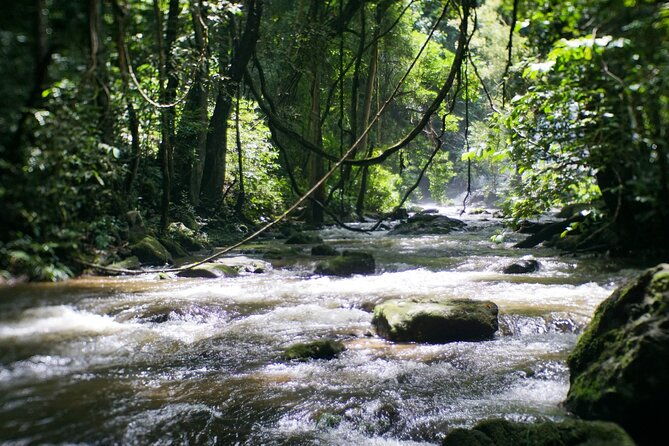 Inthanon National Park Tour with Soft Hike at Pha Dok Siew Trail - Lunch and Coffee – The Perfect Break
