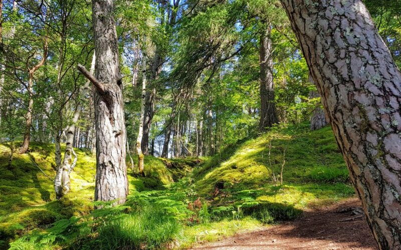 inverness-private-secret-hike-to-the-shores-of-loch-ness