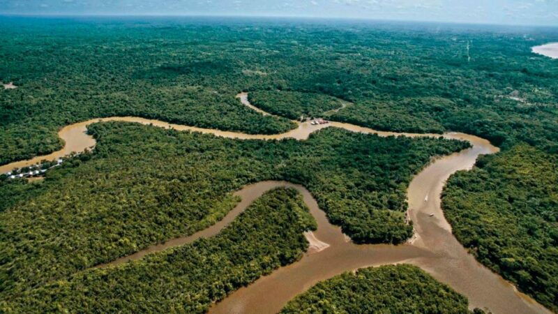 iquitos-2-days-in-the-amazon-natural-wonder-of-the-world-5